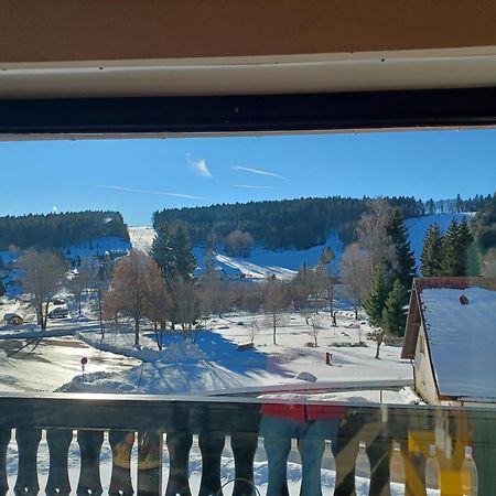 Schoene Ferienwohnung Im Suedschwarzwald Herrischried Eksteriør billede