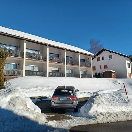 Schoene Ferienwohnung Im Suedschwarzwald Herrischried Eksteriør billede